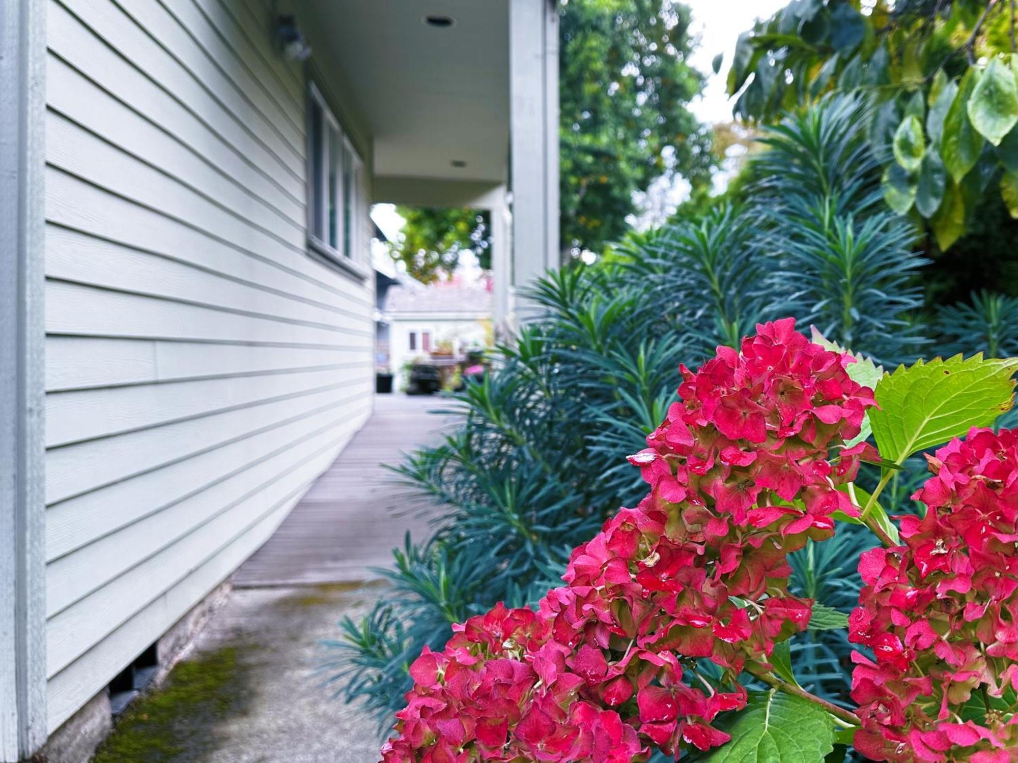 Ferienwohnung The Secret Garden Portland Exterior foto